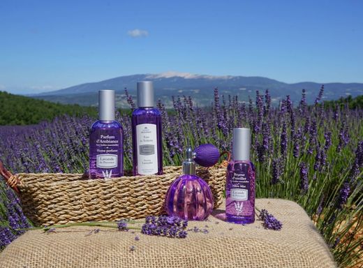 Esprit Provence: la auténtica lavanda de la Provenza francesa que llena tu hogar de calma y elegancia