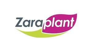 Zara Plant