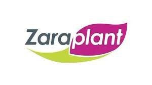 Zara Plant