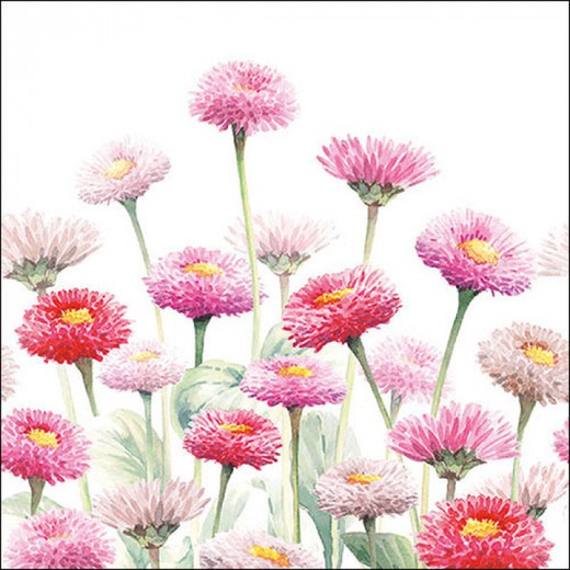 Juego 20 Servilletas Painted bellis Ambiente