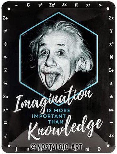 Placa Metal 15x20 Celebrities Einstein Imagination & Knowledge Retro Vintage