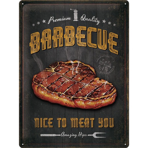 Placa Metal 30x40 Outdoor & Activities Barbecue Nice To Meat You Retro Vintage