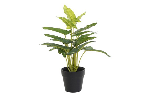 Planta Artificial Pp 25X25X30 Cala Verde Decoración Hogar