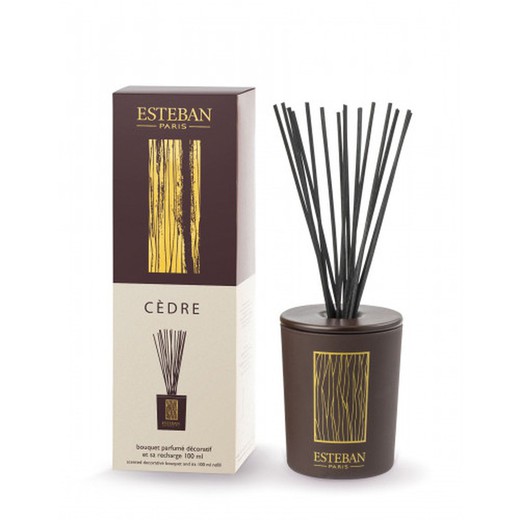 Set Mikado Cedro Decorativo 100 ml Esteban Paris