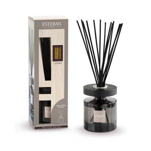 Set Mikado Ellipse 200 ml Esteban Paris Cedro