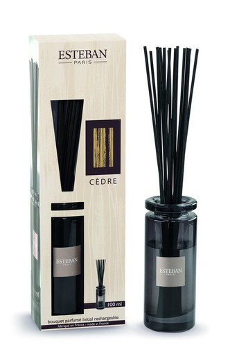 Set Mikado Esteban Paris 100 ml Cedro