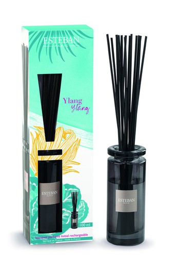 Set Mikado Esteban Paris 100 ml Ylang