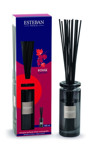 Set Mikado Esteban Paris Rouge Cassis 100 ml