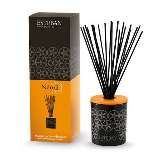 Set Mikado Neroli Decorativo 100 ml Esteban Paris