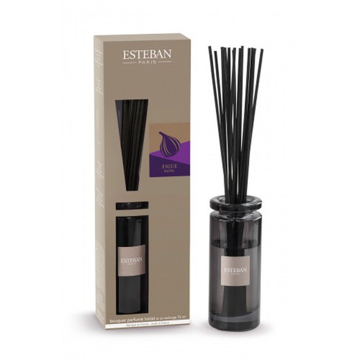 Set Mikado Perfumado Higo Negro 75 ml Esteban Paris