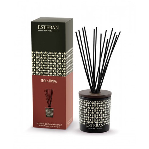 Set Mikado Teck & Tonka Decorativo 100 ml Esteban Paris