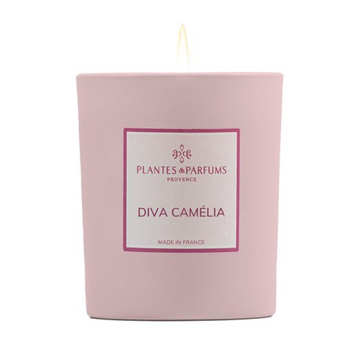 Vela Perfumada 180 Gr Color Diva Camellia  Plantes & Parfums