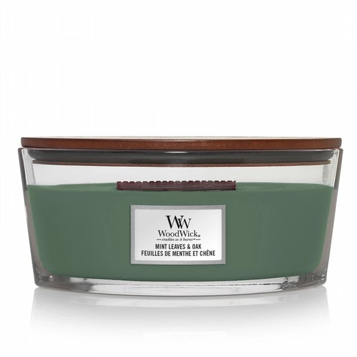 Vela Woodwick Ellipse Grande Mint Leaves & Oak Mecha de Madera