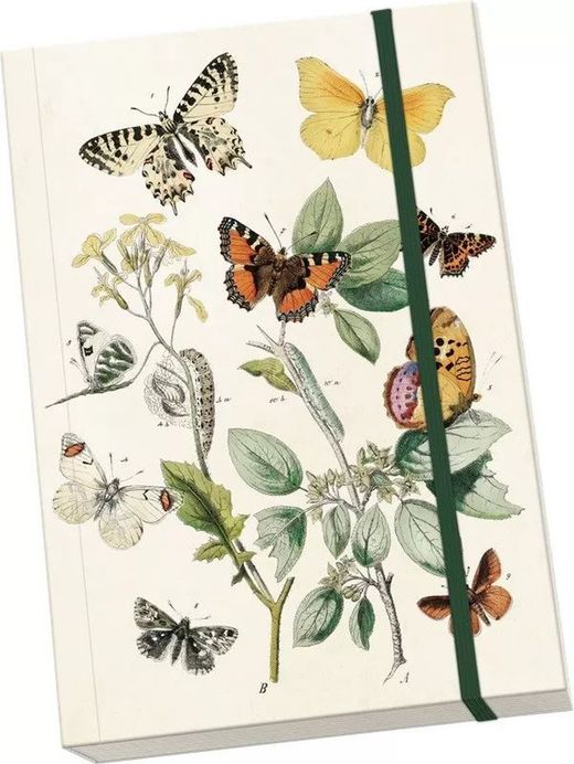 Libretas Decoradas