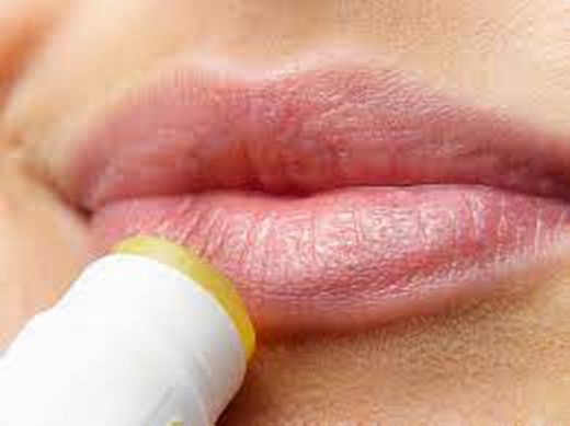 Protección Labial