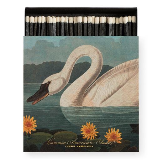 Cajas Cerillas Diseño The Common American Swan by Audubon Archivist Ideal Regalo