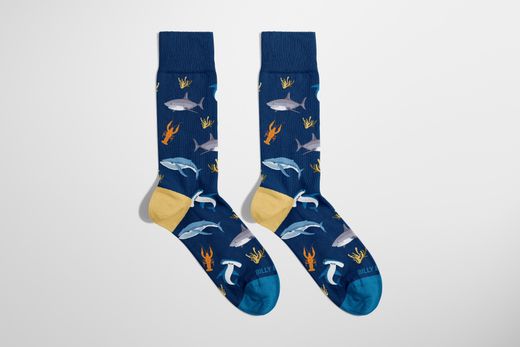 Calcetines Divertidos Fauna Marina Billy Brown Ideal Regalo Talla M 36-40