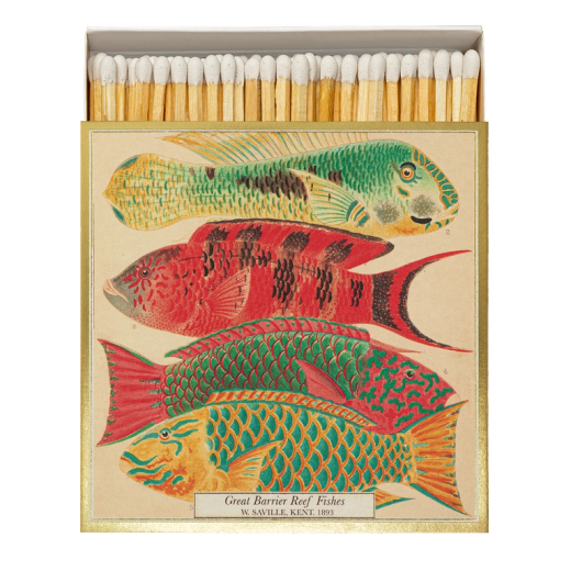 Cerillas Decorativas Peces Arrecife Color Archivist 125 Ideal Regalo