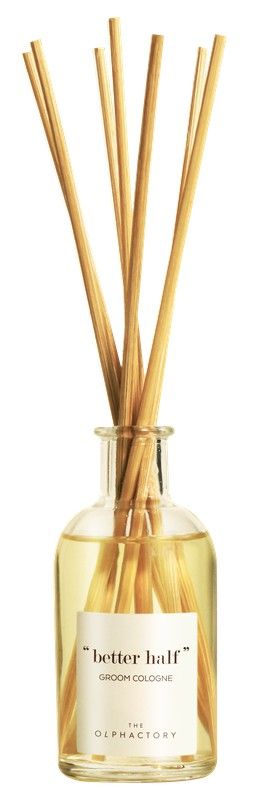 Difusor Mikado Groom Cologne 100 ml The Olphactory