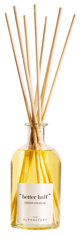 Difusor Mikado Groom Cologne 250 ml The Olphactory