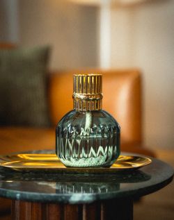 Lámpara Catalítica Lampe Berger Cannelo Verde Elimina Olores