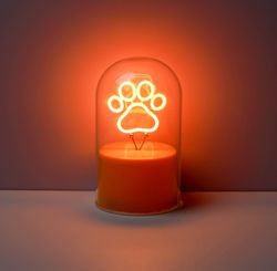 Lámpara Neón Cúpula Paw Ideal para Regalo I Total