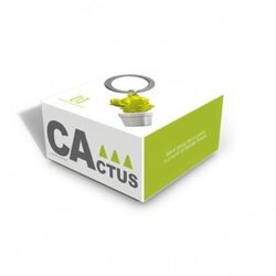 Llavero Diseño Lifestyle Cactus Metalmorphosis