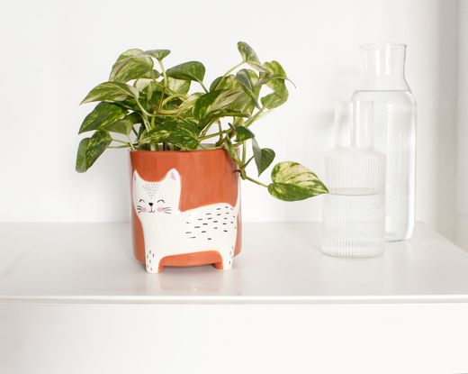 Maceta Gato Ideal Regalo Winkee