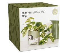 Maceta Perro Ideal Regalo Winkee