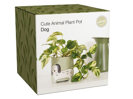 Maceta Perro Ideal Regalo Winkee