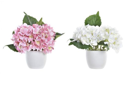 Planta Hortensia en Macetero Decoración