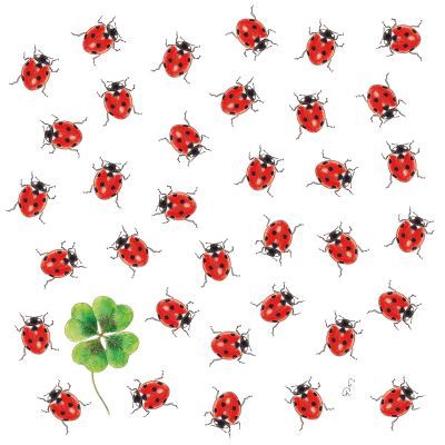 Servilleta Decorada Insectos Bugs PPD 33x33 Ideal Primavera