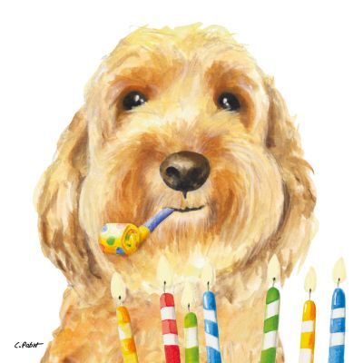 Servilleta Decorada Perro Happy Birthday PPD 33x33 Ideal Cumpleaños