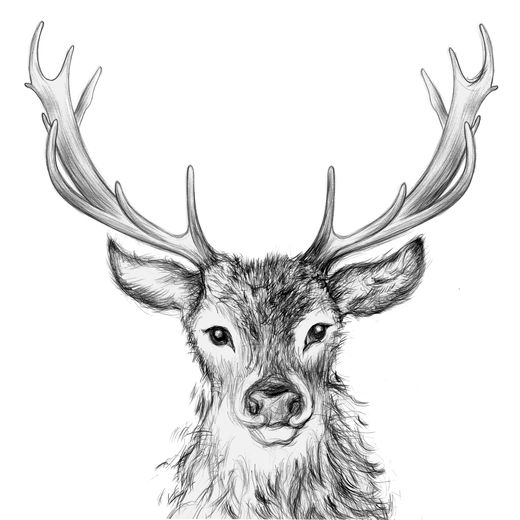 Servilleta Paul cm PPD Ideal Manualidades