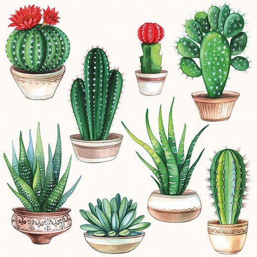 Servilletas Ambiente 33x33 20 ud CACTUS WHITE