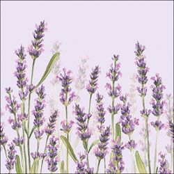Juego 20 Servilletas Lavanda lila Ambiente