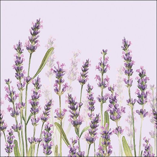 Juego 20 Servilletas Lavanda lila Ambiente