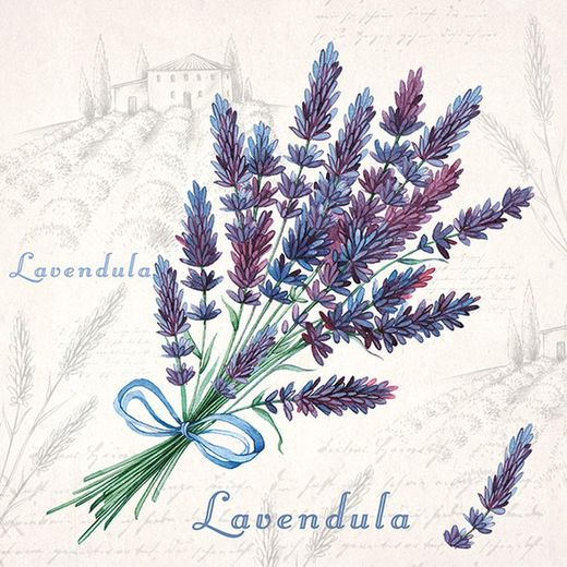 Servilletas Ambiente 33x33 20 ud LAVENDULA