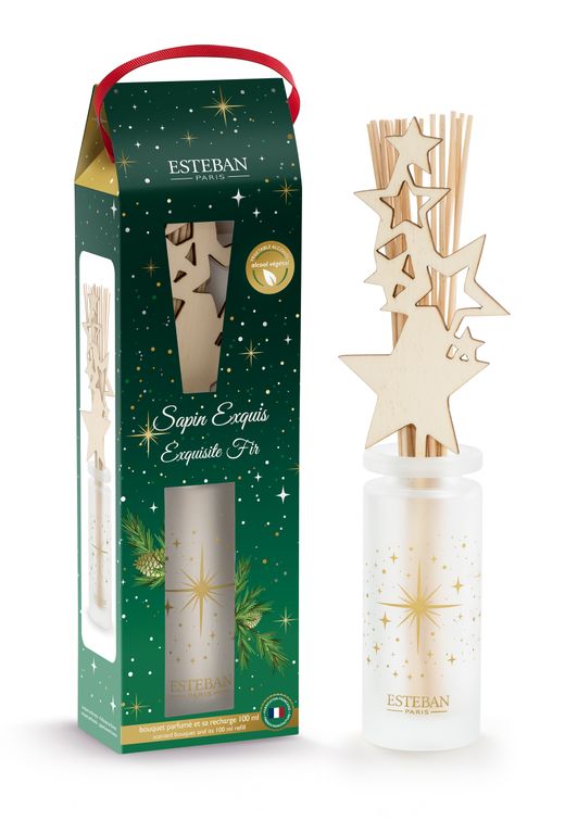 Set Mikado 100 ml Esteban Paris Navidad Abetos y Bosque