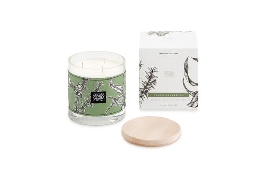 Vela Aromática Grande Paseo Silvestre 700 grs Decoragloba