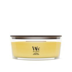 Vela Ellipse Orquídea Solar con mecha de madera WoodWick
