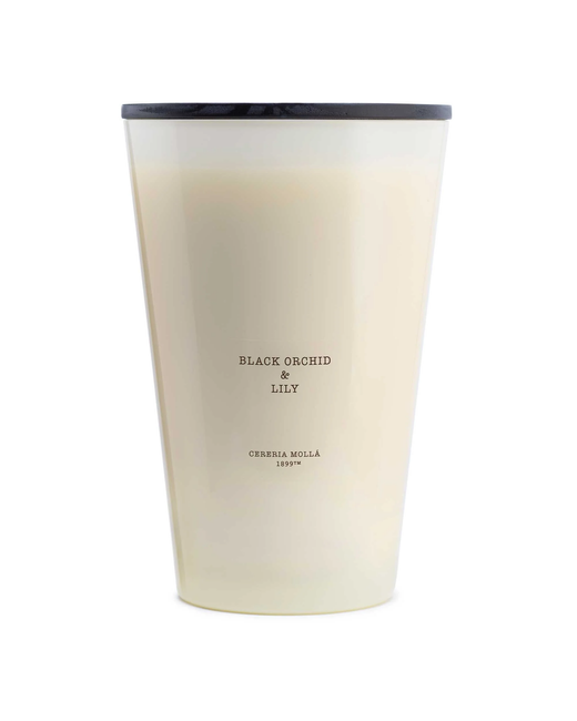 Vela Gigante 3XL Black Orchid & Lily 7 kg 7 mechas Cerería Mollá 400 horas