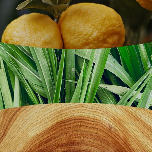 Vela Mediana Hourglass Yuzu y Vetiver con mecha de madera WoodWick
