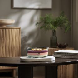 Vela Trilogy Ellipse Néctar Exuberante con mecha de madera WoodWick